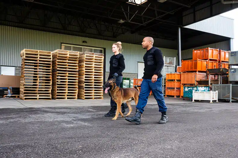 Zwei Personen mit Hund auf Lagergelände